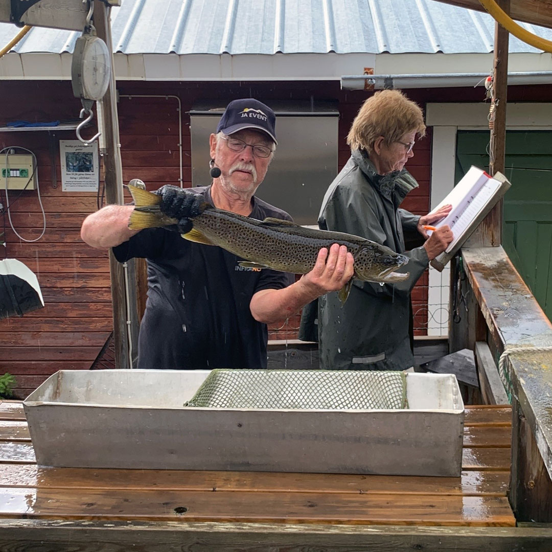 fisketrappan