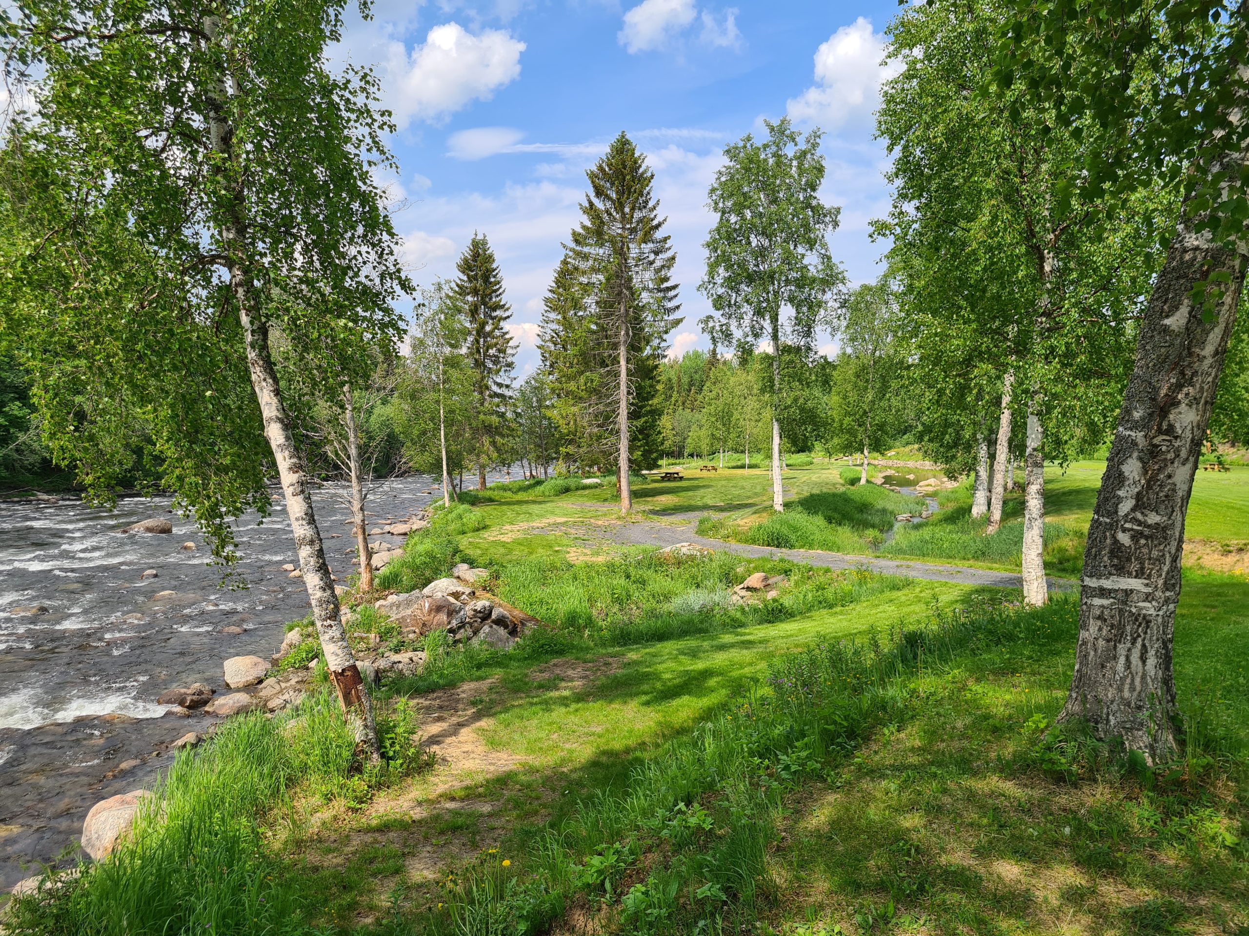 Camping talt omrade